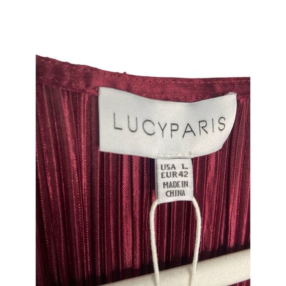 Lucy Paris Rosa Mini Dress Fit & Flare V Neck Pleated Long Sleeve Maroon Size L - Picture 8 of 10